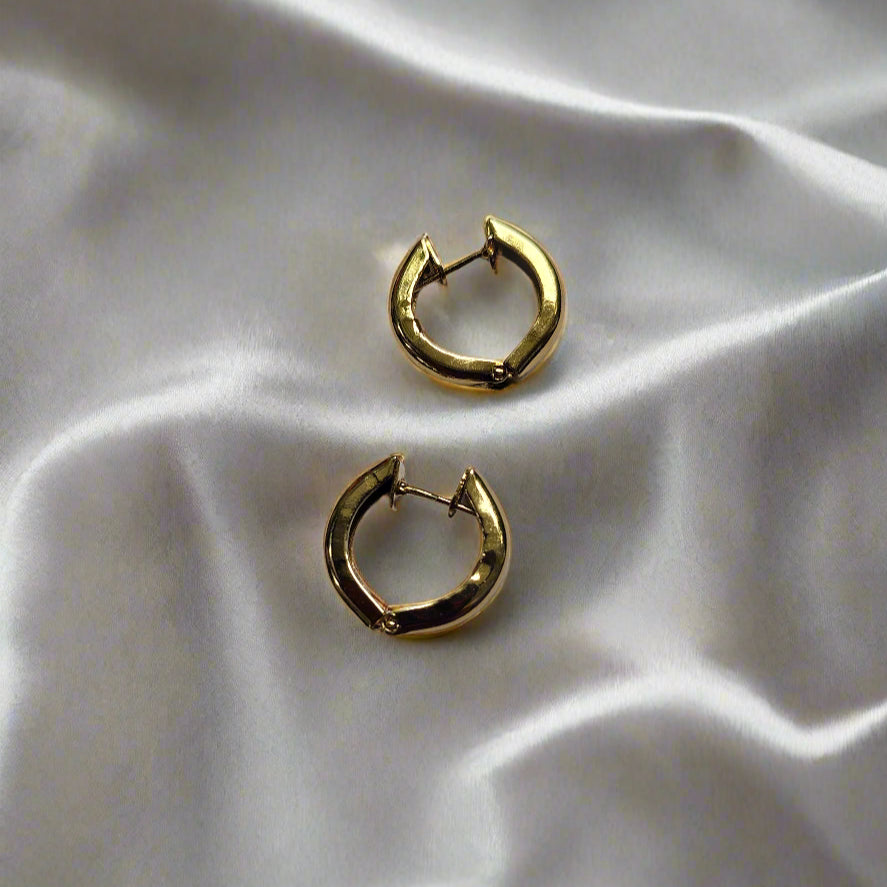 Gold tone Ring Ear stud